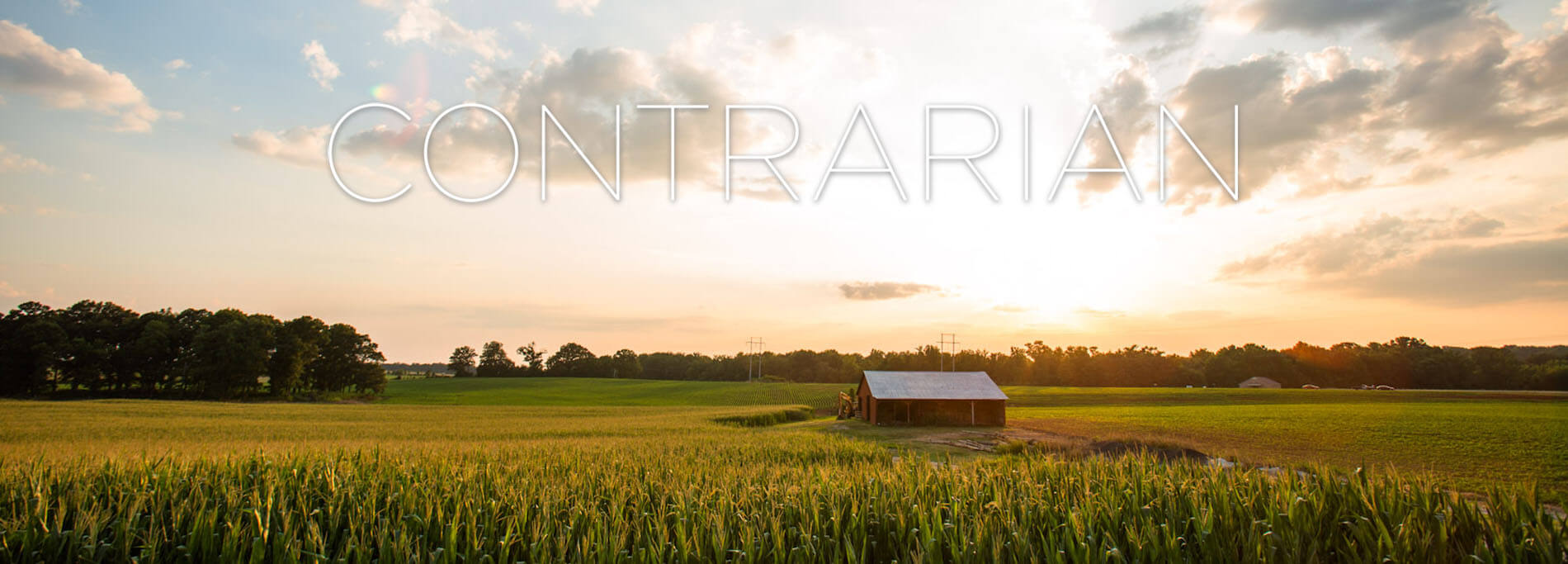 CONTRARIAN trailer photo